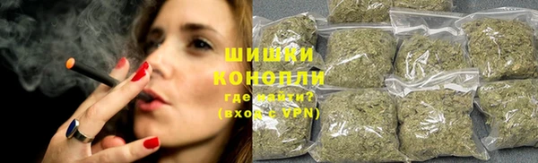 ПСИЛОЦИБИНОВЫЕ ГРИБЫ Алексеевка