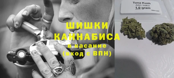 ПСИЛОЦИБИНОВЫЕ ГРИБЫ Алексеевка