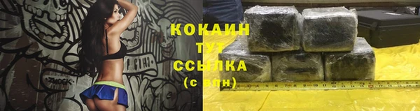 ПСИЛОЦИБИНОВЫЕ ГРИБЫ Алексеевка